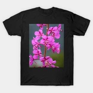 Alaskan Fireweed 3 T-Shirt